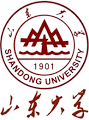 جامعة شاندونغ